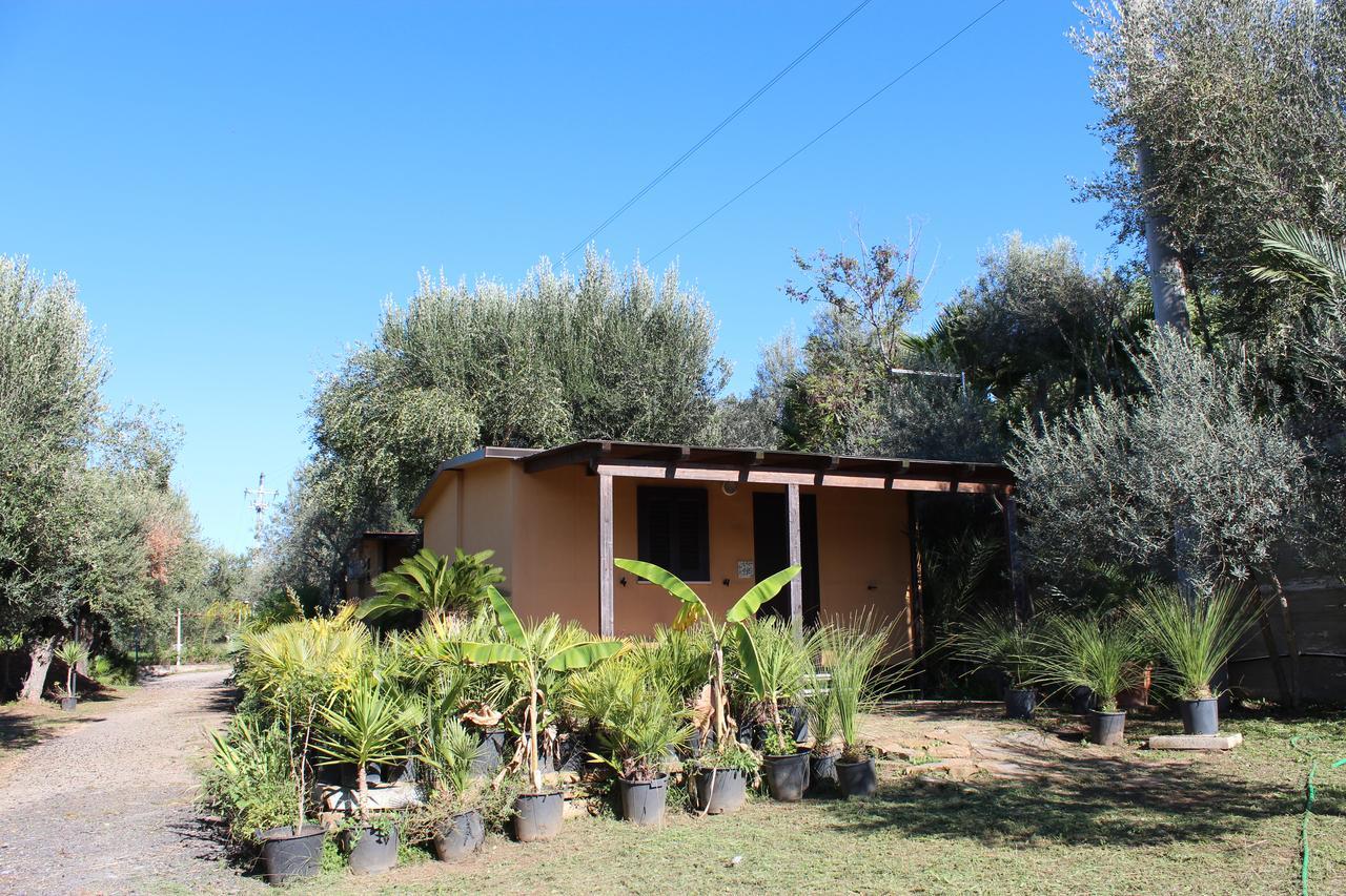 Serrone Santa Maria di Castellabate