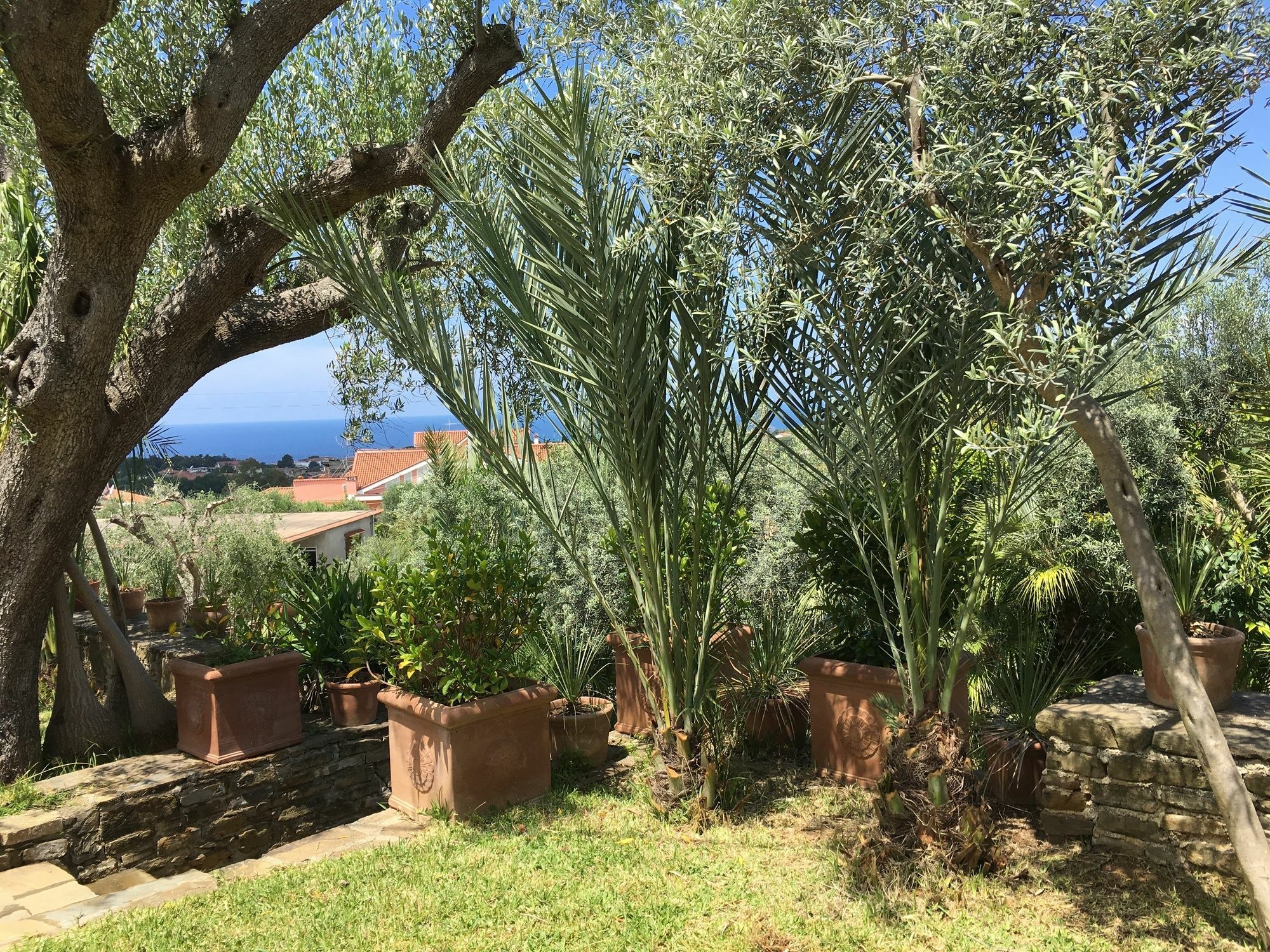 Apartahotel Serrone